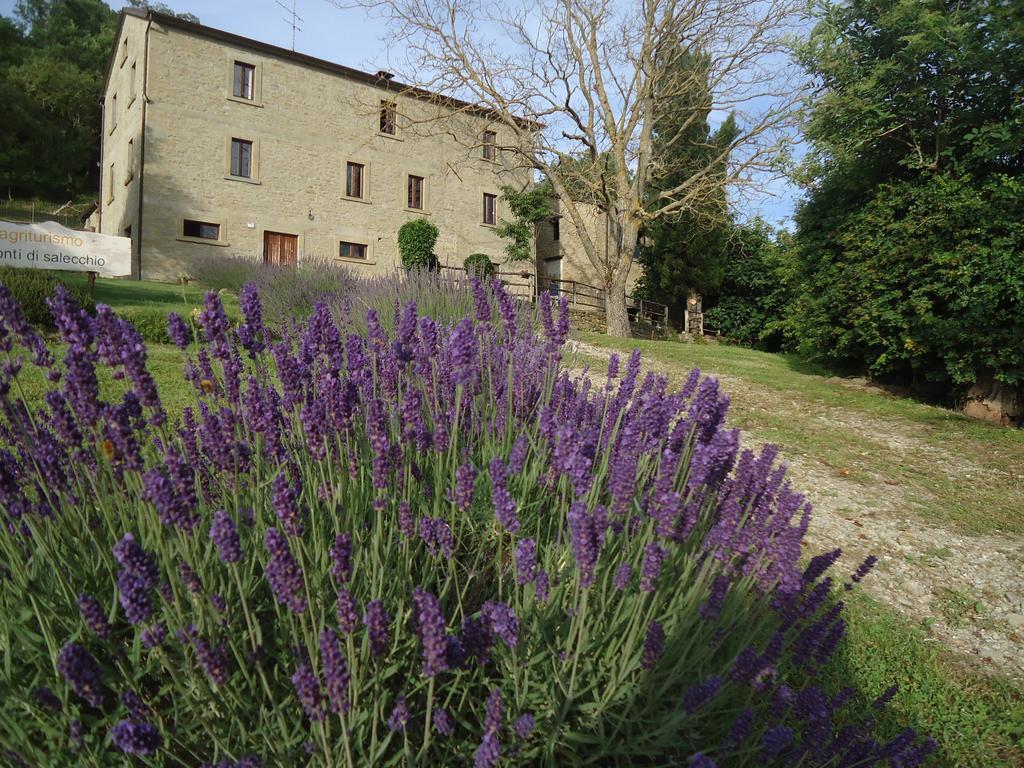 Agriturismo I Monti Di Salecchio Palazzuolo Sul Senio Exterior foto